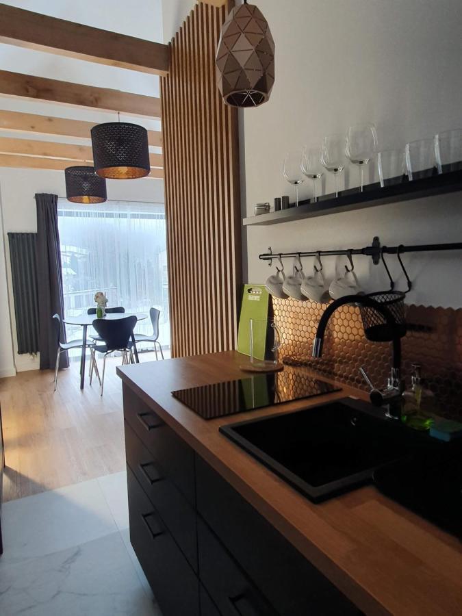 Ogrodowa 4 Apartment Ustrzyki Dolne